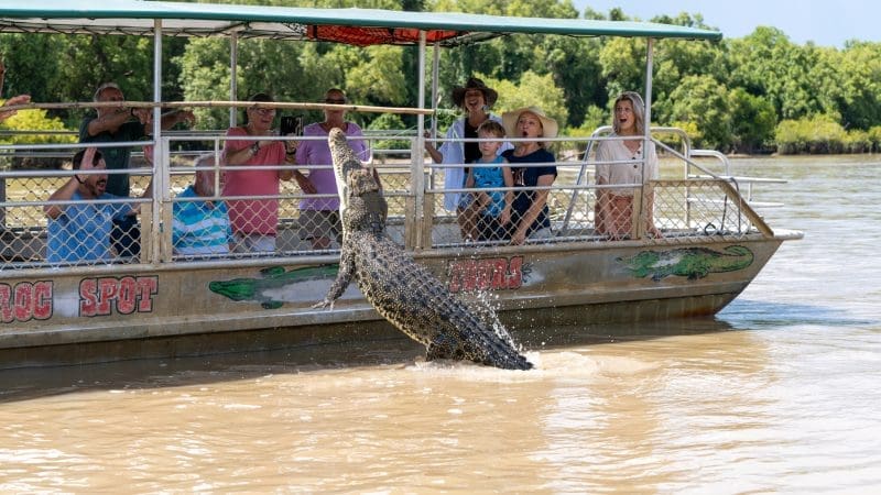 Powerful crocodile leaps from river beside captivated tourists’ boat on top-rated Half Day Jumping Crocodile Tour from Darwin.