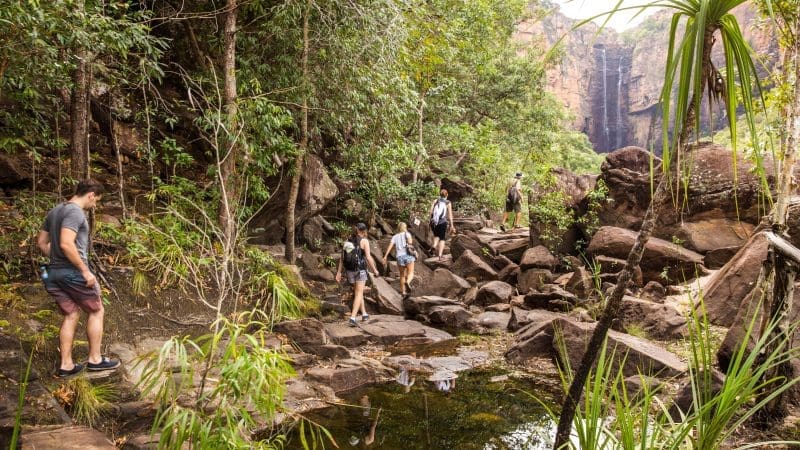 Adventurers trek vibrant rainforests and rugged paths during the 5-Day Kakadu, Arnhem Land, Katherine & Litchfield guided tour.